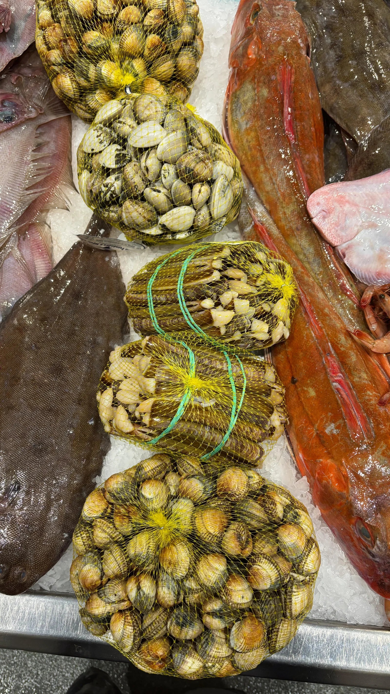 Marisco gallego
